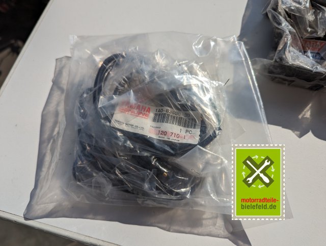 PXL_20240523_152134582